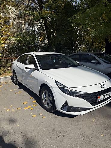 avante md: Hyundai Avante: 2021 г., 1.6 л, Автомат, Бензин, Седан — 2