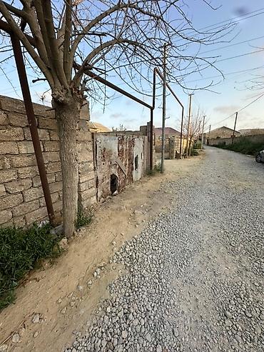sahe: 2 sot, Tikinti, Barter mümkündür, Bələdiyyə — 7
