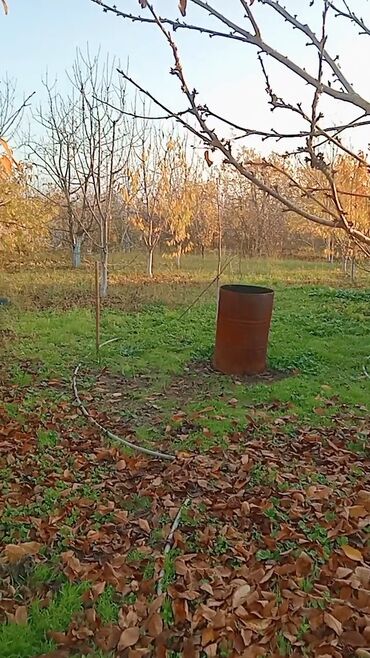 Torpaq sahələrinin satışı: Kənd təsərrüfatı — 8