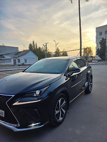 хайландер 2019 гибрид: Lexus NX: 2019 г., 2 л, Автомат, Гибрид, Кроссовер — 8