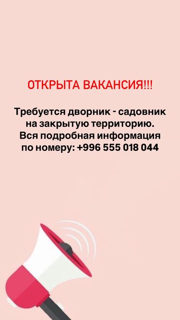 кафель для пола цена бишкек: Требуется дворник - садовник Вся подробная информация по номеру в