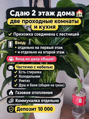 hous kg: 25 м², 2 комнаты, Без животных — 2