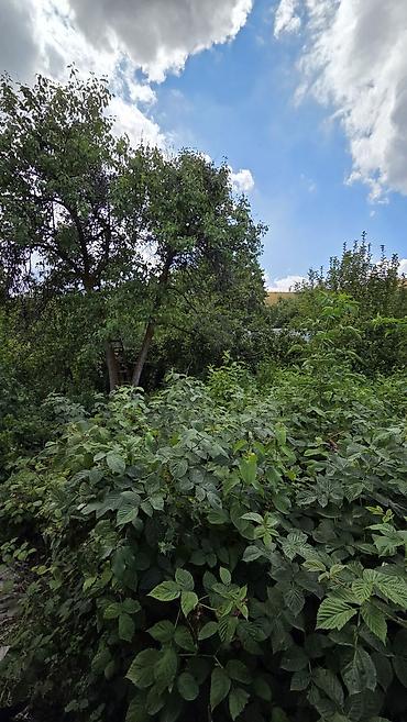 Продажа дачи: ⚠️Срочно продаётся Дача 📍район Панорама ✔️Участок 5 соток ✔️Размеры at lalafo.kg — 3 Продажа дачи: ⚠️Срочно продаётся Дача 📍район Панорама ✔️Участок 5 соток ✔️Размеры — 3