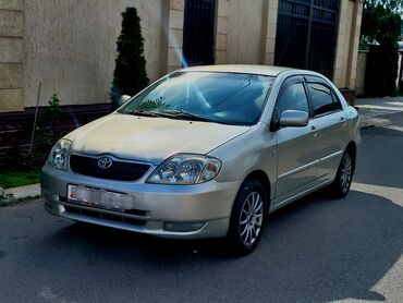 toyota proboks: Toyota Corolla: 2006 г., 1.6 л, Механика, Бензин, Седан
