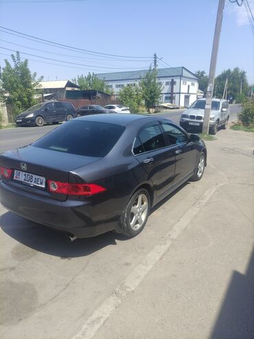 акорд торное: Honda Accord: 2002 г., 2 л, Автомат, Бензин, Седан