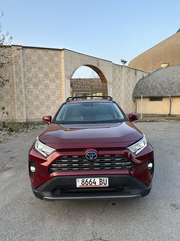 беларус 1025 2: Toyota RAV4: 2019 г., 2.5 л, Автомат, Гибрид, Внедорожник