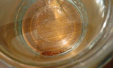 Akvariumlar: Salam! 1 şəkil -Akvarium - 35 manata 40 idi 2 şəkil -filtr - 16 -da lalafo.az — 9 Akvariumlar: Salam! 1 şəkil -Akvarium - 35 manata 40 idi 2 şəkil -filtr - 16 — 9