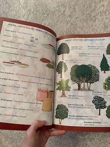 pubg disk: Python kitabı 40azn 30 günə rus dilini öyrədən kitab. + 2CD diski — 2