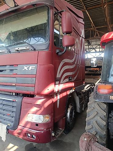 daf tandem: Тягач, DAF, 2009 г., Без прицепа — 3