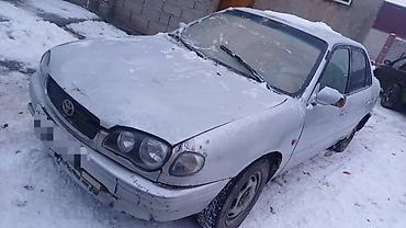 corolla runx: Toyota Corolla: 2000 г. — 2