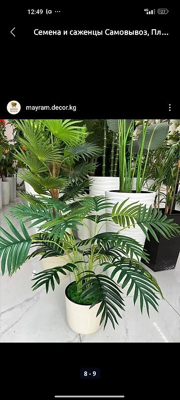 Декоративные цветы: Искусственные деревьяи цветы для вашего интерьера Адрес: г. Бишкек. ул — 11