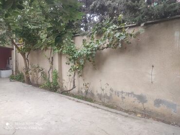 Uzunmüddətli kirayə evlər: 120 kv. m, 4 otaqlı, İnternet, Telefon, Qaz -da lalafo.az — 26 Uzunmüddətli kirayə evlər: 120 kv. m, 4 otaqlı, İnternet, Telefon, Qaz — 26