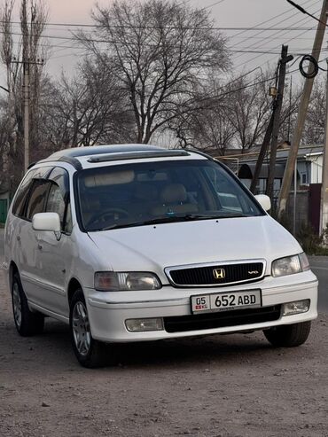 кожаные лосины: Honda Odyssey: 1998 г., 3 л, Автомат, Бензин, Вэн/Минивэн