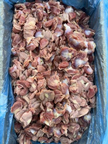 козу сатылат бишкек: Курица :, 10 кг, Бесплатная доставка