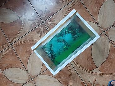 аквариум: Şüşə akvarium
Ölçüləri 35×22×16 — 2