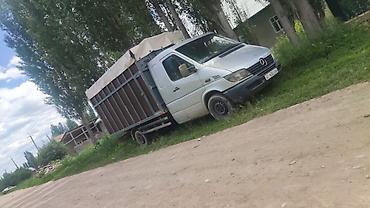 перевозка рыб: Грузоперевозки на тентованном фургоне 2.2 сди мотор каропка жакшы — 5