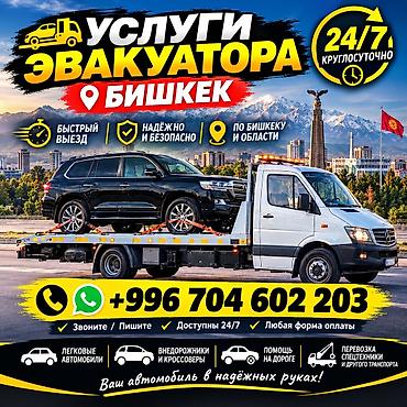 С лебедкой, С манипулятором