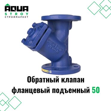 сантехник тепловизор: Обратный клапан фланцевый подъемный 50 Для строймаркета "Aqua Stroy"