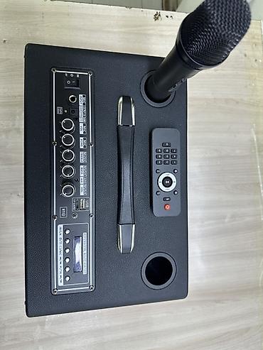 yamaha stagepas: Портативная акустическая система SS-10 - Тип: переносная колонка с — 5
