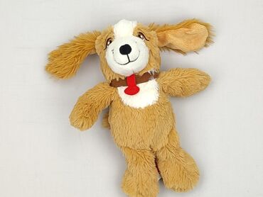 Mascot Dog, condition - Perfect