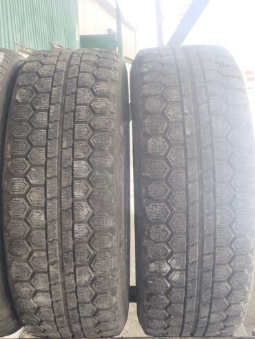 диска железный 16: Шины 205 / 50 / R 16, Зима, Б/у, Пара, Легковые, Япония, Dunlop