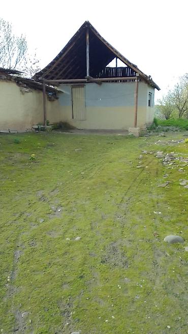eletde torpaq satilir: 20 sot, Kənd təsərrüfatı, Mülkiyyətçi — 3