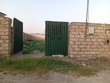 savalan torpag: Tikinti, Kupça (Çıxarış) — 2