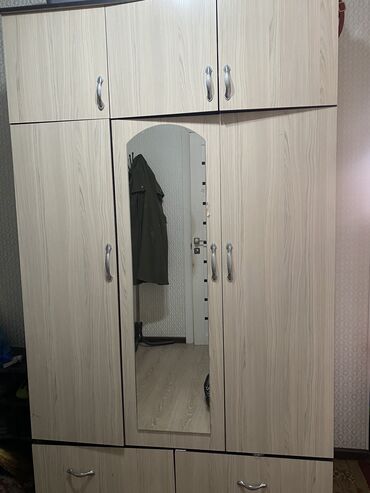 каракол шкафы: Кийим салуучу шкаф, Колдонулган, Түз, Жыгач