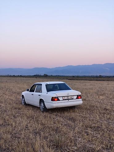 devo matiz: Mercedes-Benz W124: 1991 г., 3 л, Механика, Дизель, Седан — 4