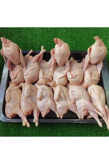 Коровы, быки: Təzə kəsilmiş bıldırcın əti. Bıldırcın əti zəngin dadı və qida dəyəri