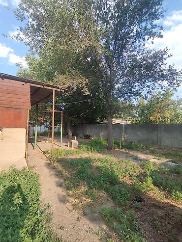 Продажа коттеджей и домов: Продается дом в селе Дмитриевка 5 комнат + времянка дом расположен де — 6