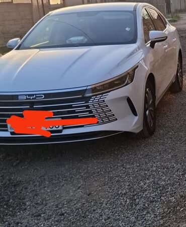 BYD: Rayona sifarişlə gediş gəliş qiymət razılaşma yolu ilə 0557232317