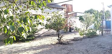 bartee: 2 sot, Tikinti, Mülkiyyətçi, Kupça (Çıxarış) — 5