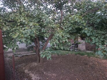 Həyət darvazaları: Mingəçevir şəhəri AzDres Vaqonlar qəsəbəsındə yerləşən 2 otaq 1 — 9