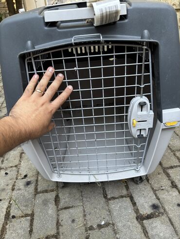 Pişiklər: İtler üçün daşıma qabı. Cemi 1 defe istifade olunub, daha sonra