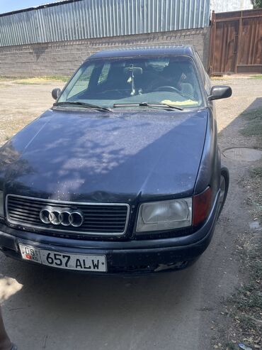 Audi: Audi 100: 1994 г., 2.3 л, Механика, Газ — 10