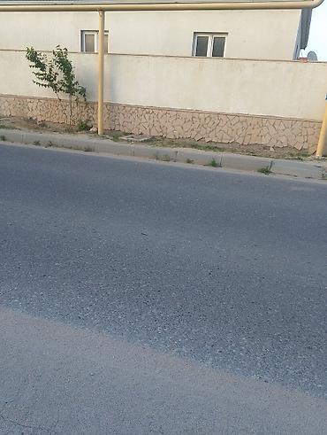 bineqedi elanlari: Sabuncu rayon 9meden 204n masurut sabuncu bazarina 8deqelik yol — 1