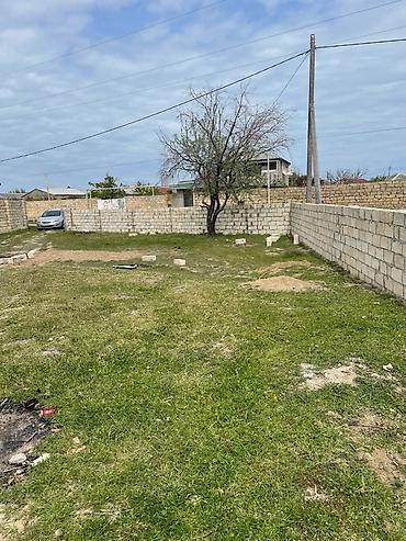 neftcalada ev satisi: 11 sot, Tikinti, Bələdiyyə — 9