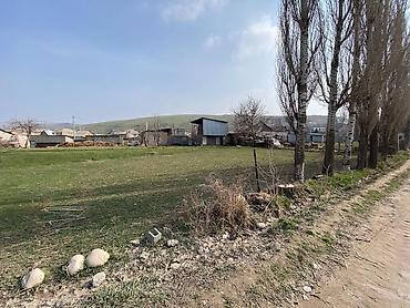 Продажа участков: 5 соток, Для строительства, Красная книга at lalafo.kg — 6 Продажа участков: 5 соток, Для строительства, Красная книга — 6