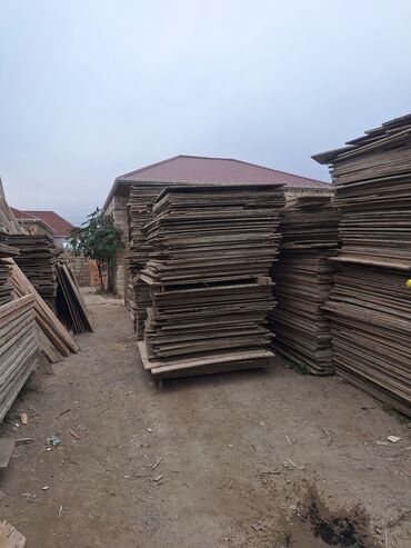 Diktlər: Dik taxda satlır ardiyada verilir ünvan Binə savxoz — 2