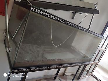 keci seki: Dördbucaq akvarium, Boş, 500 l, Ünvandan götürmə — 5