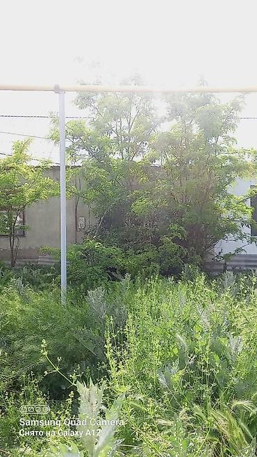 Дома: Продаётся дом барачного типа в Новопокровке Отличный вариант как для — 7