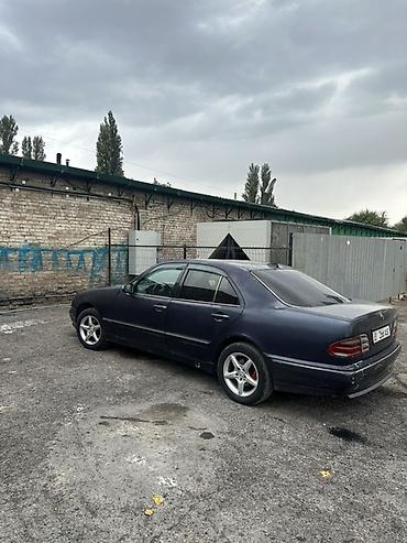 бука муравей бишкек: Mercedes-Benz E-Class: 2000 г., 2.7 л, Автомат, Дизель, Седан — 2