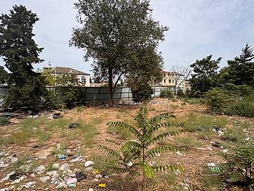razinde: 31 sot, Tikinti, Makler, Kupça (Çıxarış) — 10