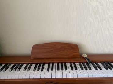 Пианино, фортепиано: Электрическая пианино 
88 клавиш 
Вес 10кг