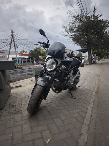 куплю электро муравей: Мотоцикл Suzuki Gladius SFV650 в черном цвете с обтекателем и