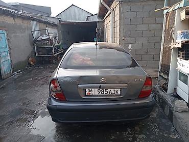 audi 4: Citroen C5: 2003 г., Седан — 3