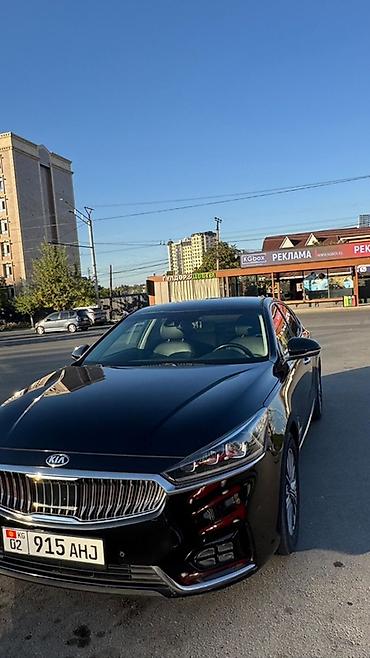 kia optima 2016: Kia Optima: 2019 г., Автомат, Гибрид, Седан — 8