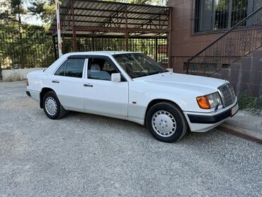 катушка 124: Mercedes-Benz 230: 1992 г., 2.3 л, Автомат, Бензин, Седан