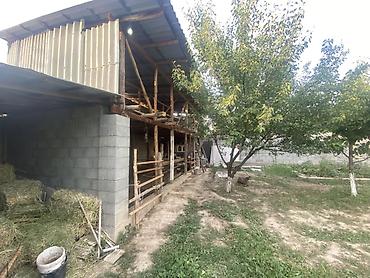 воост: Продаётся жилой дом с большим приусадебным участком и хозяйственным — 2